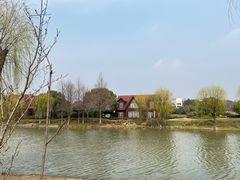 -自然谷恐龙园