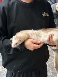 点击看大图 -Zoolung Zoolung动物主题公园(海信广场店)