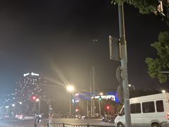-上海浦东国际旅游度假区绿地铂骊酒店