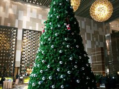 -天津君隆威斯汀酒店