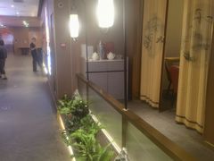 -宏宴·新京菜(望京店)