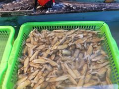 -秦淮人家风味酒楼(赣榆店)