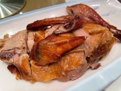 -凯鸽酒楼(大同振兴街店)