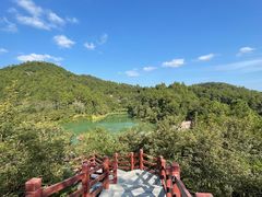 -广州白江湖森林公园