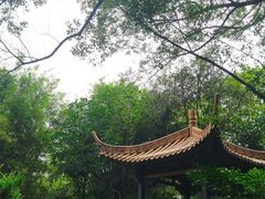 -广州兰圃