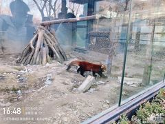 -北京动物园