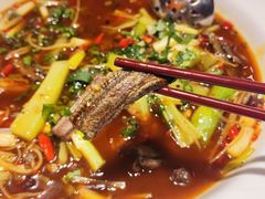 -天辣(金桥啦啦宝都店)