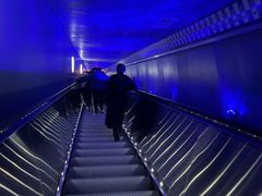 -白鹤梁水下博物馆