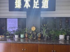 -臻本足道(武林壹号店)