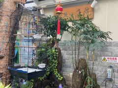 -丽江庭院之丽江往事(安定门店)