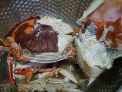 -青岛沙子口国家中心渔港