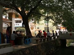 -小洲村