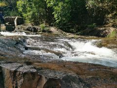-广州白江湖森林公园