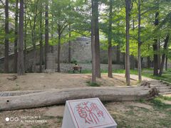 -阳台山自然风景区