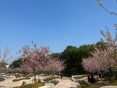 -新江湾城公园