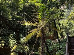 -赤水丹霞旅游区·佛光岩