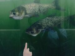-眉山湿地公园(东坡区)
