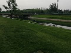 -坝河休闲公园