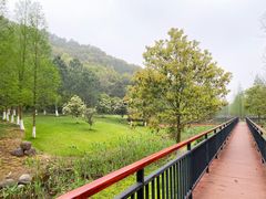 -东钱湖旅游度假区