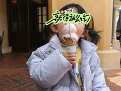 -IL paperino帕帕里诺冰激凌