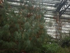 -南山植物园