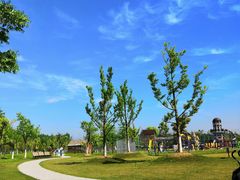 -上海长兴岛郊野公园