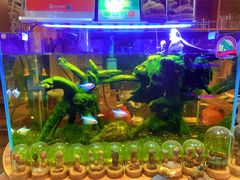 -Rabbit Cafe私房西餐甜点咖啡(栖霞路店)