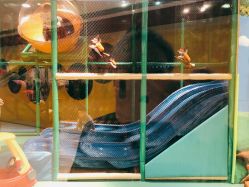 -KidSteam儿童乐园(富力城店)