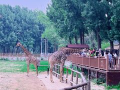 -北京野生动物园