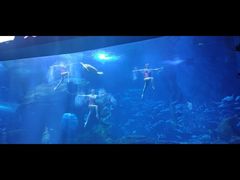 -多彩贵州城极地海洋世界