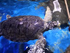 -多彩贵州城极地海洋世界