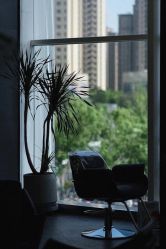 -BOF HAIR BY HONTO