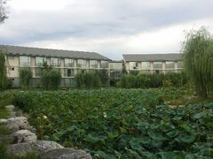 android_upload_pic-稻香湖景酒店