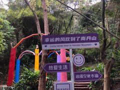 -南丹山森林王国