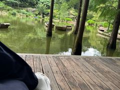 -深圳仙湖植物园
