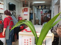 -洪馨椰子