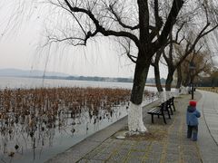 -西湖外事游船(花港观鱼码头)