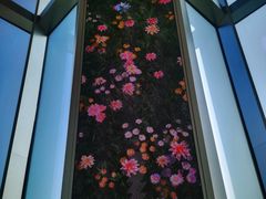 -平安金融中心云际观光层