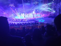 -灵玲国际马戏城