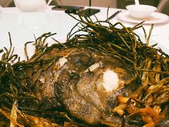 葱烤鸦片鱼头-新吉士·上海菜(浦东LCM置汇旭辉店)