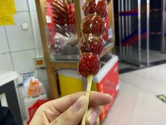 -和禄德冰糖葫芦