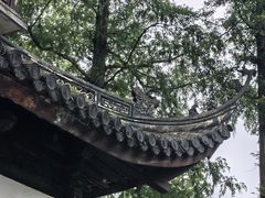 -汇龙潭