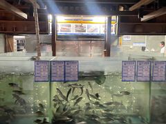 -丹江渔村(首都机场店)