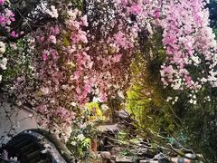 -深圳国际园林花卉博览园