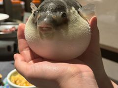 -肆月河豚·淮扬菜·湘菜(华天店)