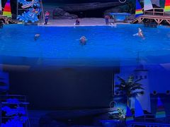 -海合安武汉极地海洋公园