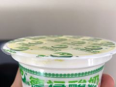 -德禄酸奶(莫家街店)