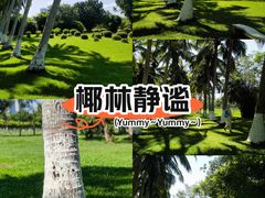 -万绿园