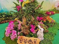 -万顷园艺世界