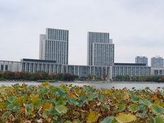 -尚贤河湿地